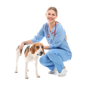 La santé du chien